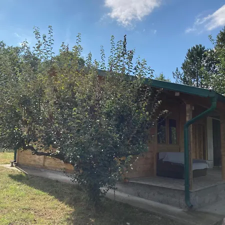 Gruzanski Raj * Knic