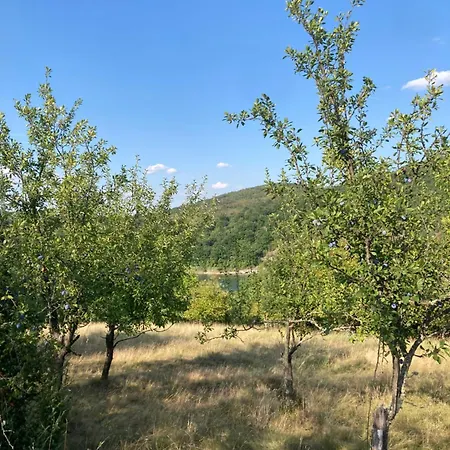 Gruzanski Raj * Knic